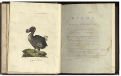 John Latham 2-Volume Set of ''A General Synopsis of Birds'' -- First Edition Published 1783-1785 With All 75 Hand-Colored Plates Present & Original Binding